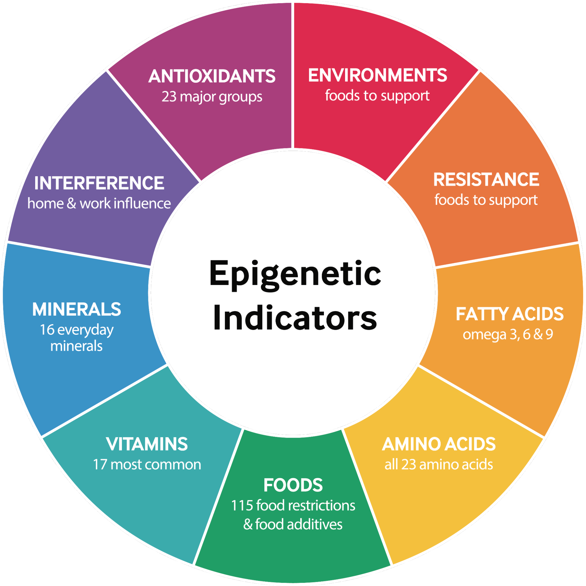 Sample epigenetic test result — color wheel of biomarkers analyzed